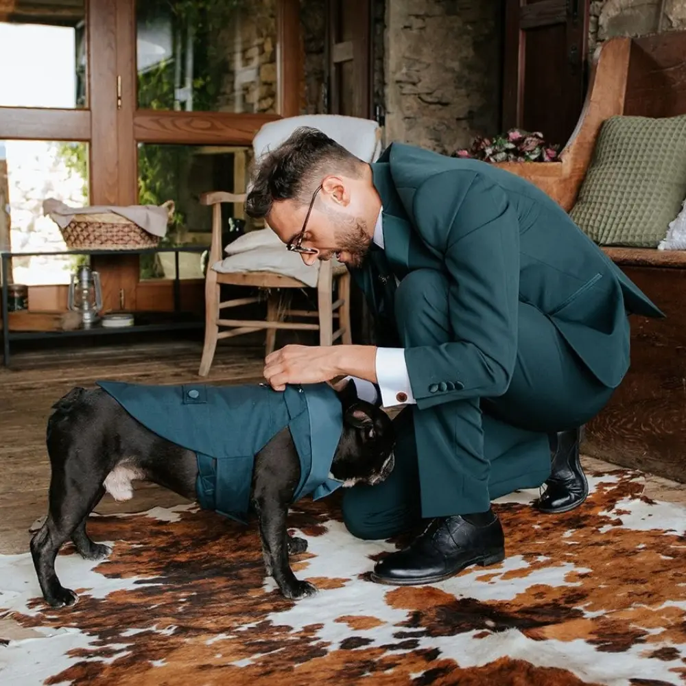Lo sposo sistema la pettorina smoking del bulldog francese prima del matrimonio