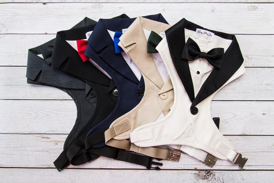 Tuxedo: which color to choose?