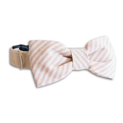Beige Striped Collar with Tie / BowTie