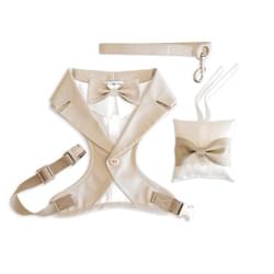 Beige Dog Wedding Attire with Leash and Pillow