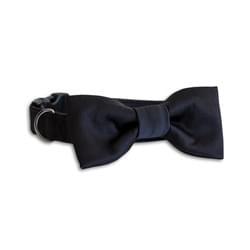 Black Collar with Tie / Bow Tie