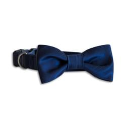 Collare Blu con Papillon/Cravatta