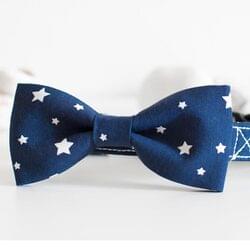 Blue collar with stars