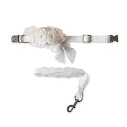 Collar with Roses, Lace and Leash