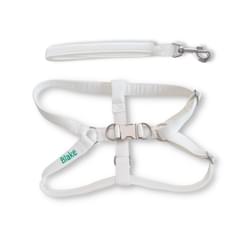 Step in harness with leash