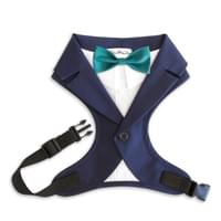 Choose the color of the bow tie!